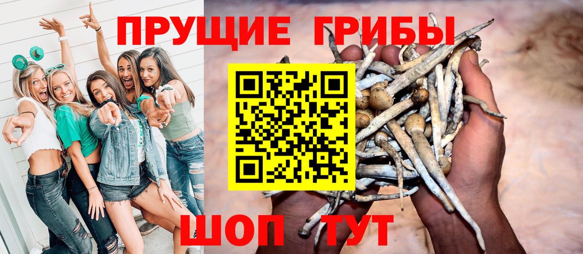 где найти наркотики  Галлюциногенные грибы мицелий  Вход с VPN  Лениногорск 