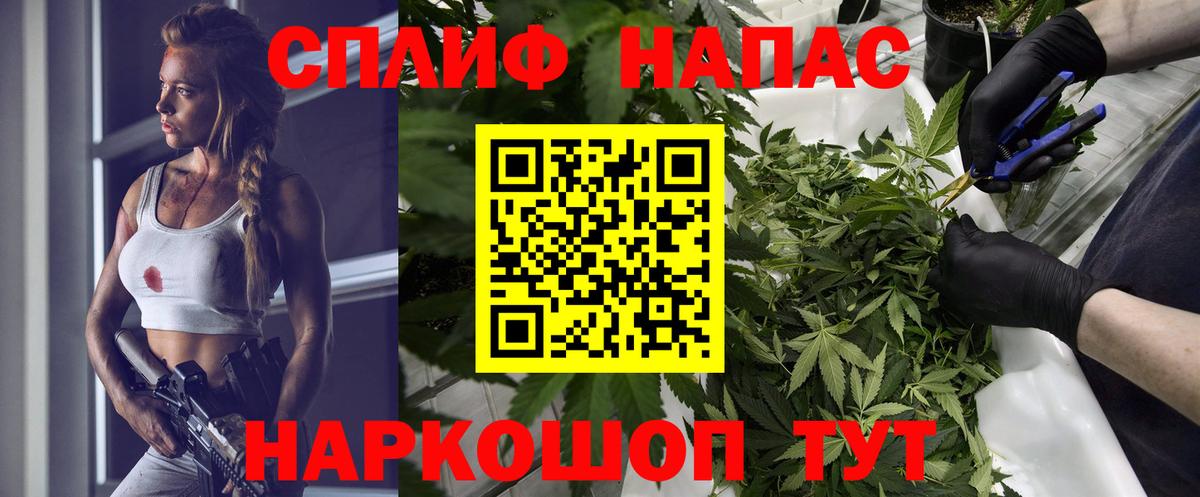 Шишки марихуана конопля  Вход с VPN  Канабис планчик  Лениногорск  Шишки марихуана индика 